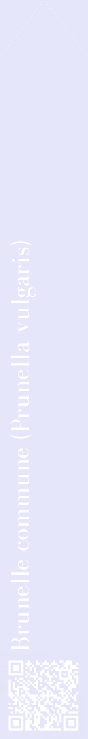 Étiquette de : Prunella vulgaris - format c - style blanche55_simplebod avec qrcode et comestibilité