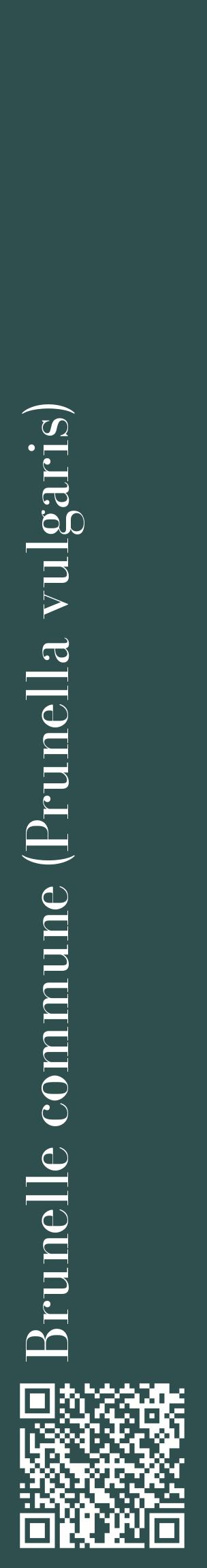 Étiquette de : Prunella vulgaris - format c - style blanche58_basiquebod avec qrcode et comestibilité