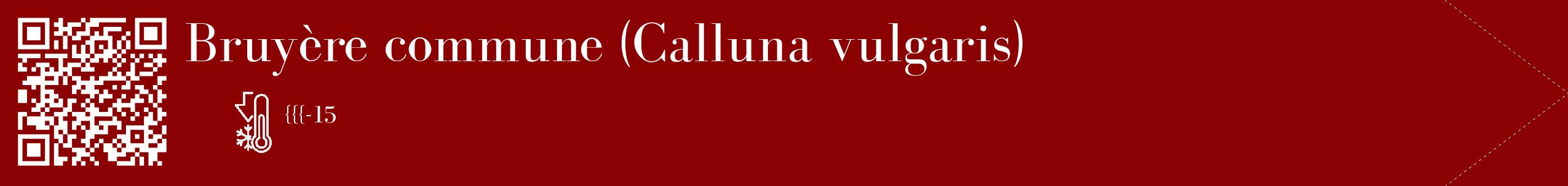 Étiquette de : Calluna vulgaris - format c - style blanche34_simple_simplebod avec qrcode et comestibilité