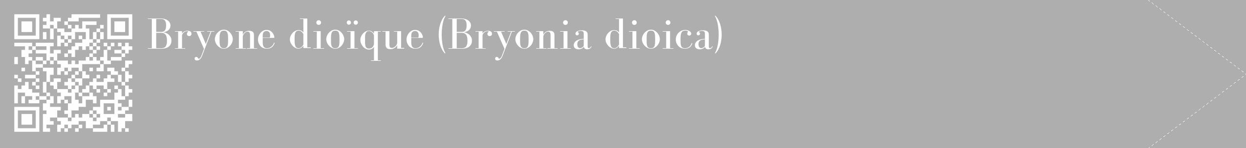 Étiquette de : Bryonia dioica - format c - style blanche53_simple_simplebod avec qrcode et comestibilité