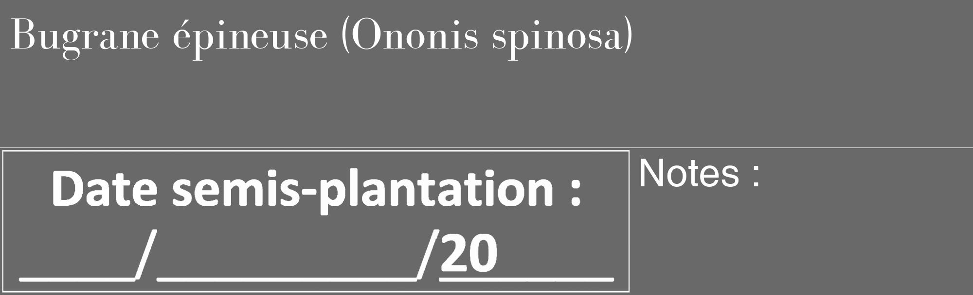 Étiquette de : Ononis spinosa - format c - style blanche11_basique_basiquebod avec comestibilité
