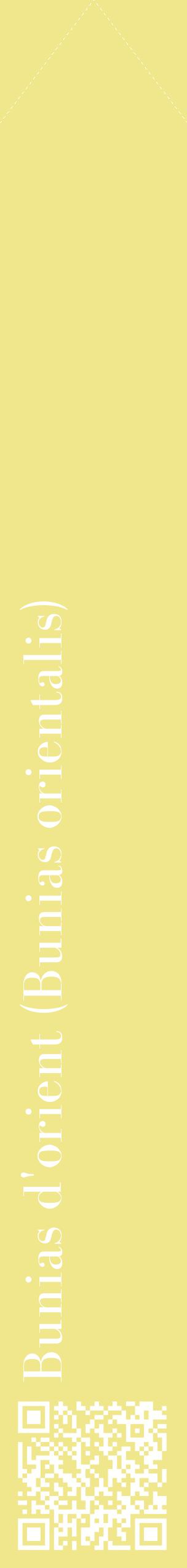 Étiquette de : Bunias orientalis - format c - style blanche20_simplebod avec qrcode et comestibilité