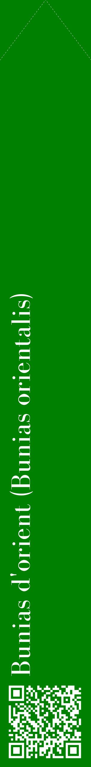 Étiquette de : Bunias orientalis - format c - style blanche9_simplebod avec qrcode et comestibilité