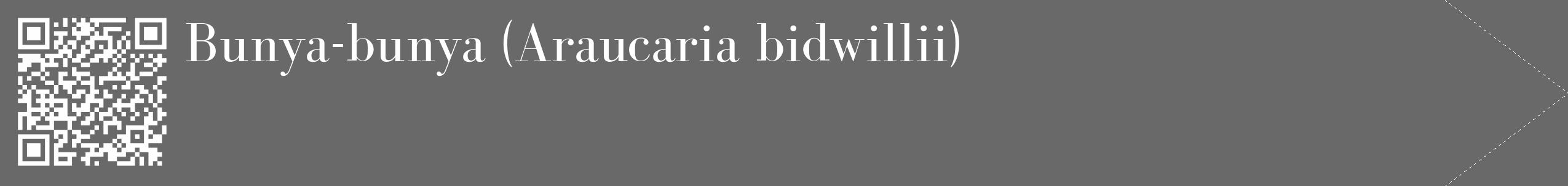 Étiquette de : Araucaria bidwillii - format c - style blanche11_simple_simplebod avec qrcode et comestibilité