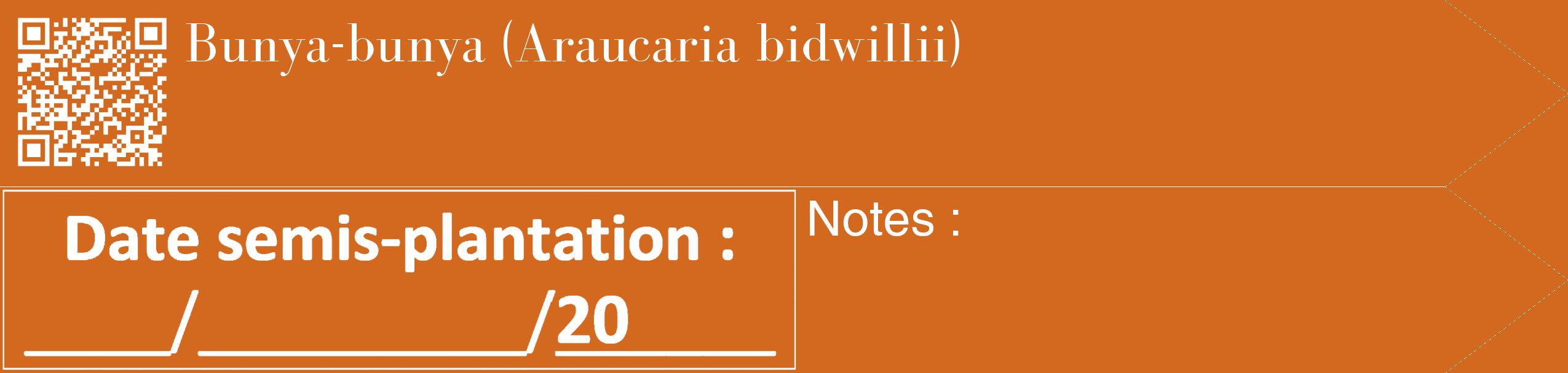 Étiquette de : Araucaria bidwillii - format c - style blanche31_simple_simplebod avec qrcode et comestibilité