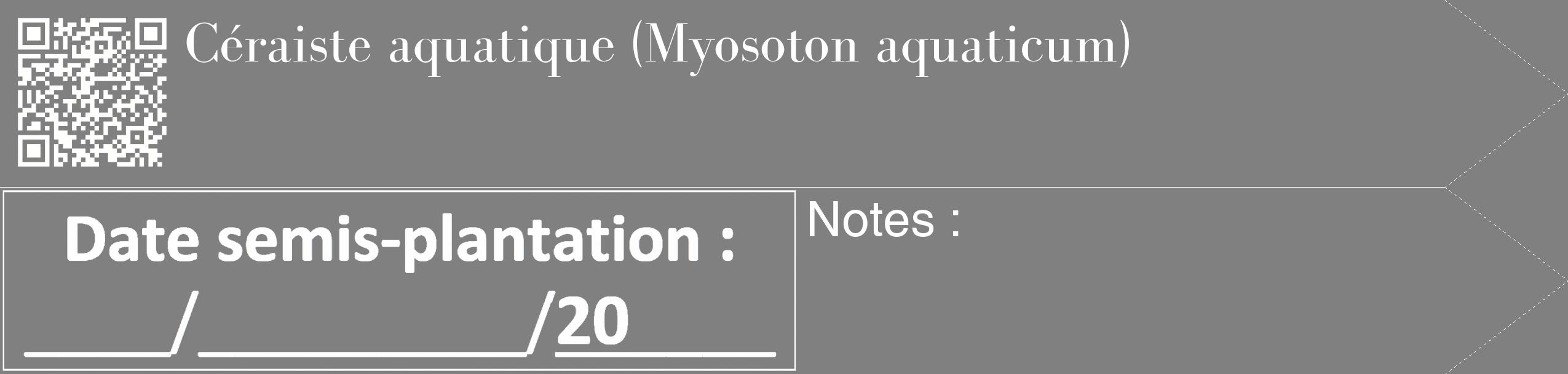 Étiquette de : Myosoton aquaticum - format c - style blanche57_simple_simplebod avec qrcode et comestibilité