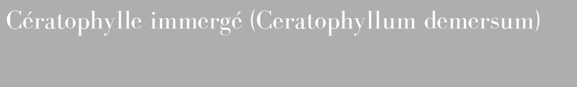 Étiquette de : Ceratophyllum demersum - format c - style blanche53_basique_basiquebod avec comestibilité