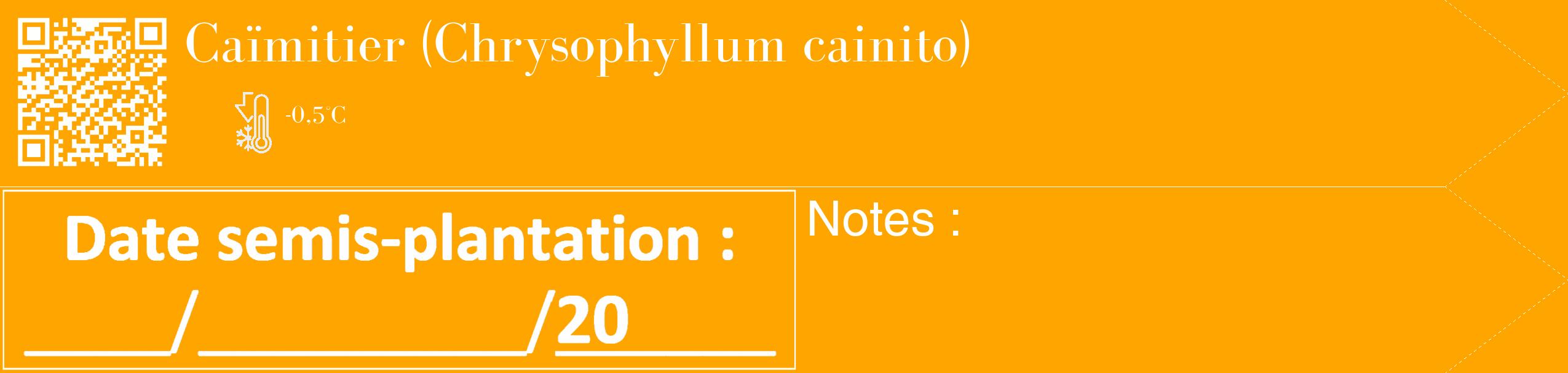 Étiquette de : Chrysophyllum cainito - format c - style blanche22_simple_simplebod avec qrcode et comestibilité