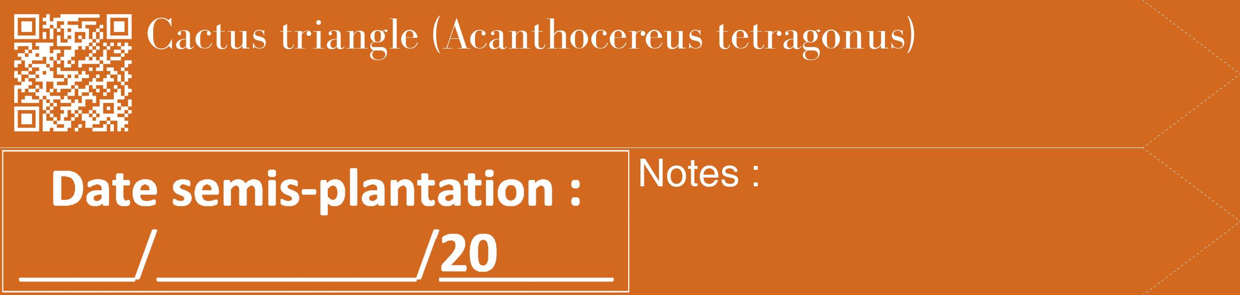 Étiquette de : Acanthocereus tetragonus - format c - style blanche31_simple_simplebod avec qrcode et comestibilité