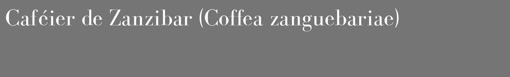 Étiquette de : Coffea zanguebariae - format c - style blanche5_basique_basiquebod avec comestibilité