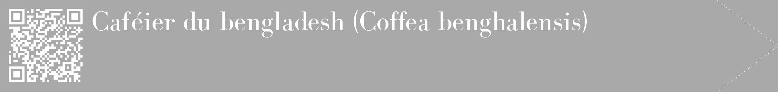Étiquette de : Coffea benghalensis - format c - style blanche13_simple_simplebod avec qrcode et comestibilité
