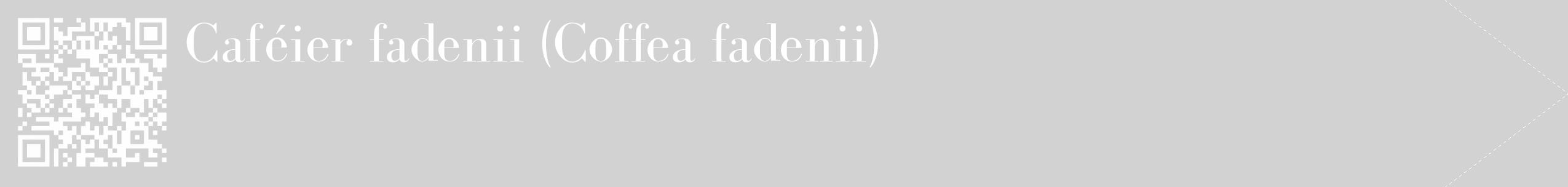 Étiquette de : Coffea fadenii - format c - style blanche14_simple_simplebod avec qrcode et comestibilité