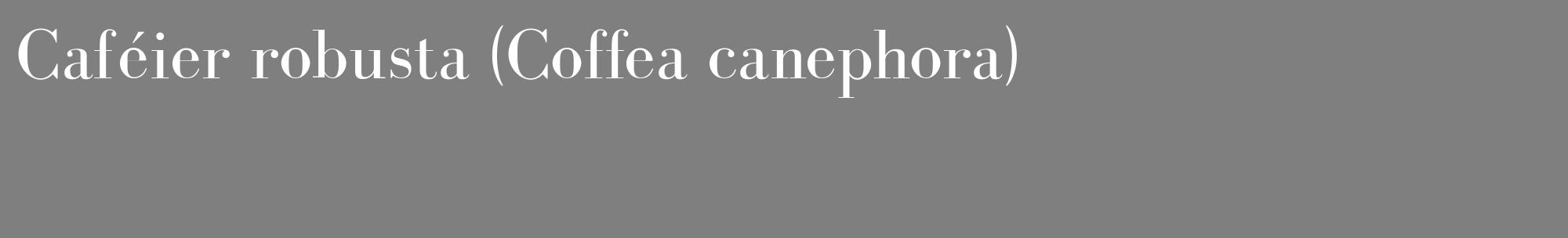 Étiquette de : Coffea canephora - format c - style blanche31_basique_basiquebod avec comestibilité