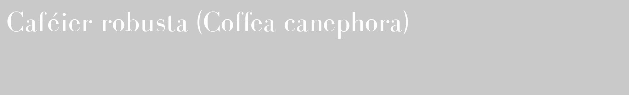 Étiquette de : Coffea canephora - format c - style blanche54_basique_basiquebod avec comestibilité