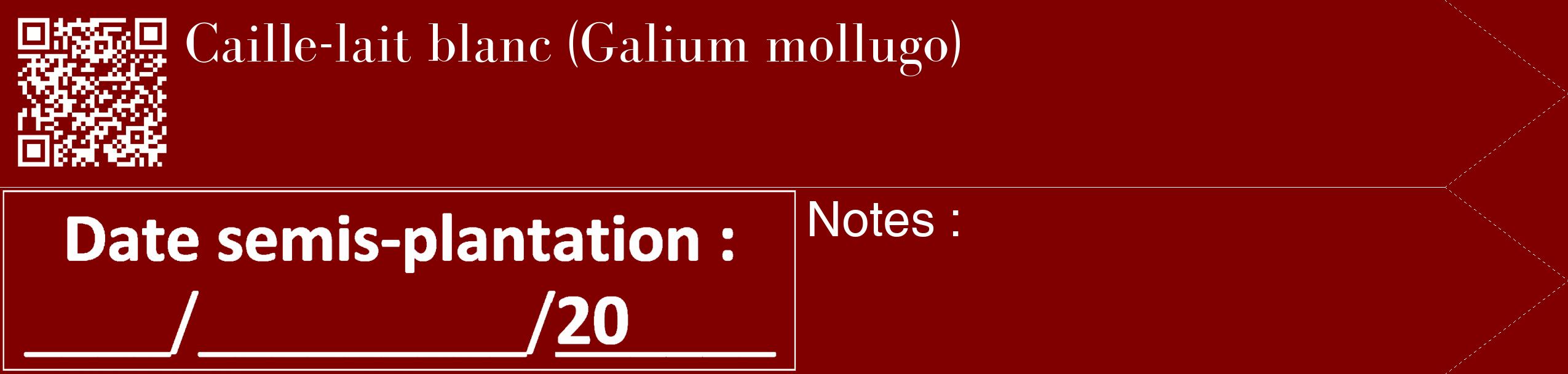 Étiquette de : Galium mollugo - format c - style blanche29_simple_simplebod avec qrcode et comestibilité