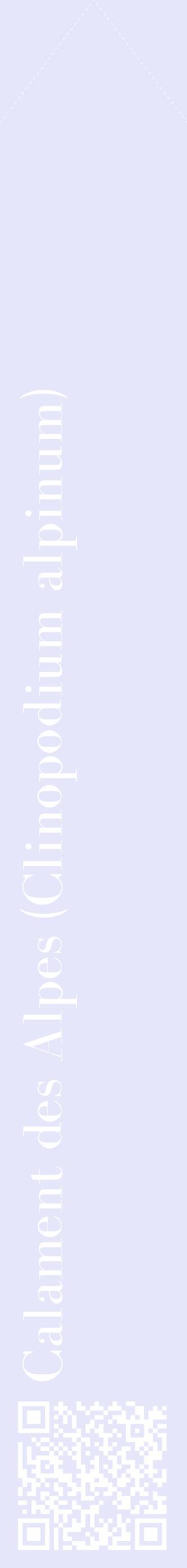 Étiquette de : Clinopodium alpinum - format c - style blanche55_simplebod avec qrcode et comestibilité