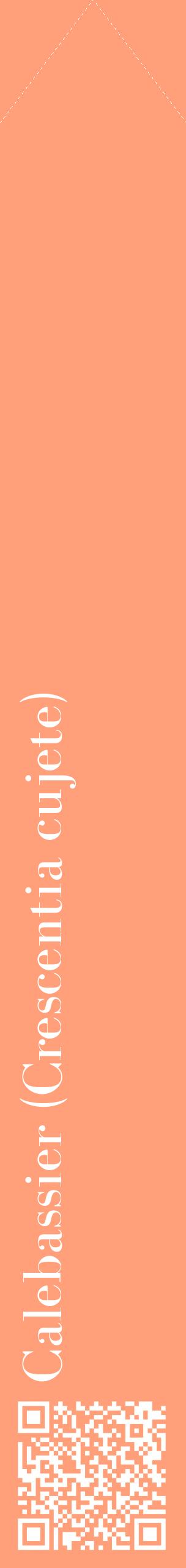 Étiquette de : Crescentia cujete - format c - style blanche39_simplebod avec qrcode et comestibilité