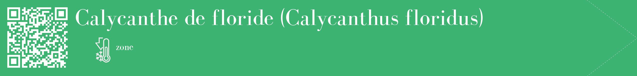 Étiquette de : Calycanthus floridus - format c - style blanche12_simple_simplebod avec qrcode et comestibilité