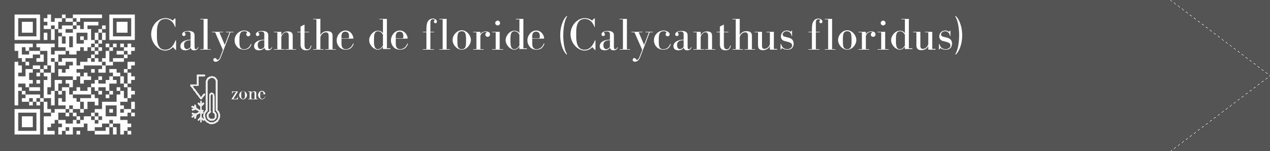 Étiquette de : Calycanthus floridus - format c - style blanche30_simple_simplebod avec qrcode et comestibilité