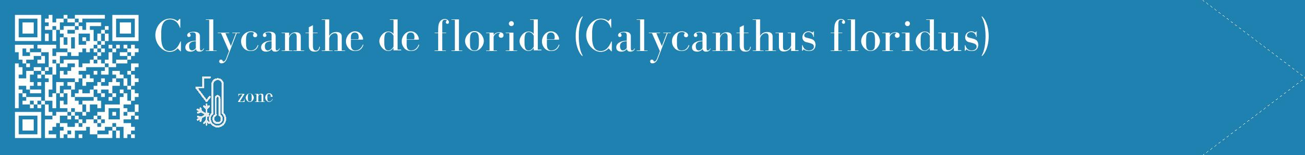 Étiquette de : Calycanthus floridus - format c - style blanche6_simple_simplebod avec qrcode et comestibilité