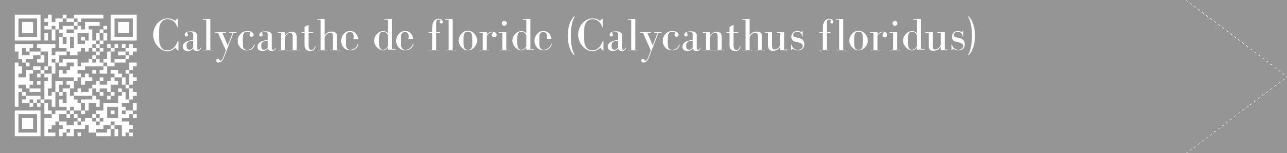 Étiquette de : Calycanthus floridus - format c - style blanche16_simple_simplebod avec qrcode et comestibilité