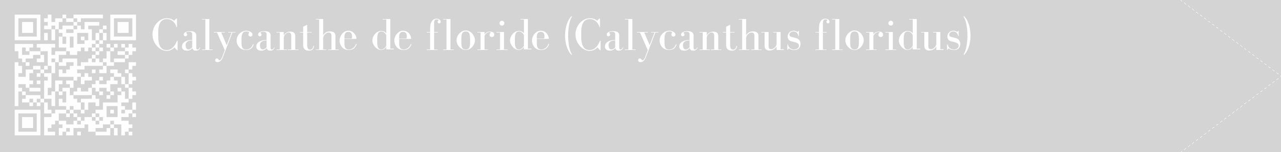 Étiquette de : Calycanthus floridus - format c - style blanche40_simple_simplebod avec qrcode et comestibilité