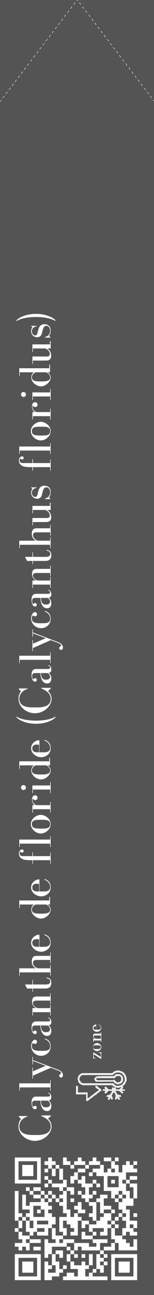 Étiquette de : Calycanthus floridus - format c - style blanche30_simple_simplebod avec qrcode et comestibilité - position verticale