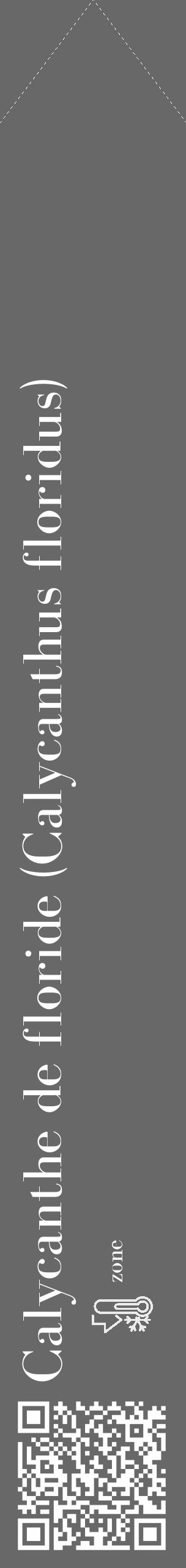 Étiquette de : Calycanthus floridus - format c - style blanche6_simple_simplebod avec qrcode et comestibilité - position verticale