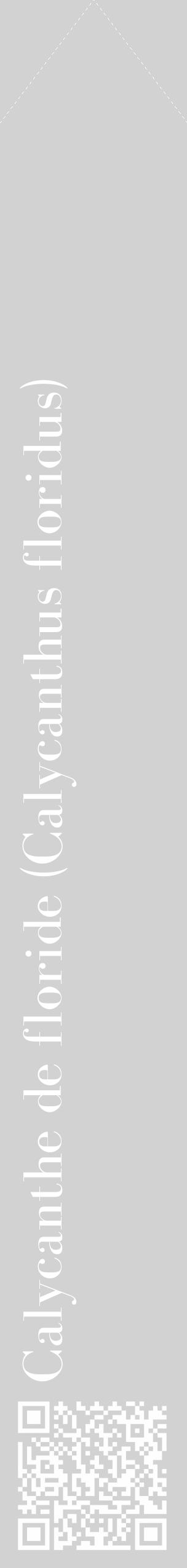 Étiquette de : Calycanthus floridus - format c - style blanche14_simple_simplebod avec qrcode et comestibilité - position verticale