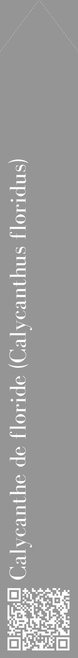 Étiquette de : Calycanthus floridus - format c - style blanche16_simple_simplebod avec qrcode et comestibilité - position verticale