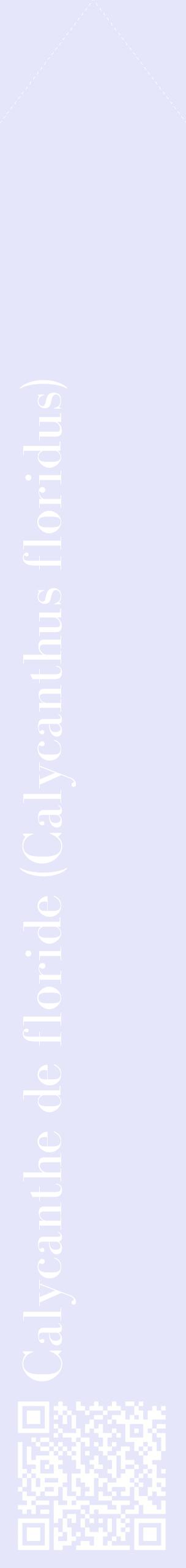 Étiquette de : Calycanthus floridus - format c - style blanche55_simplebod avec qrcode et comestibilité