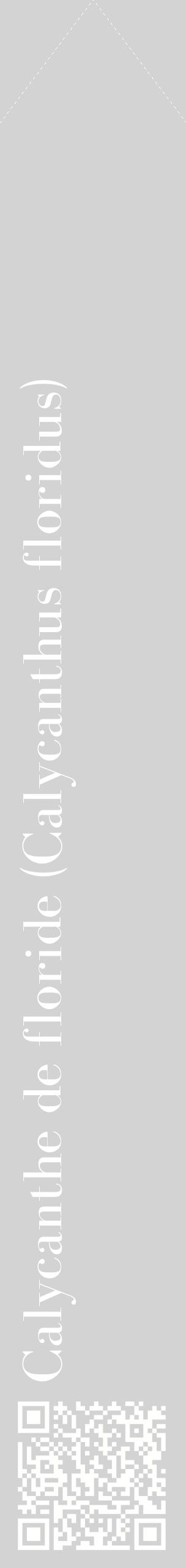 Étiquette de : Calycanthus floridus - format c - style blanche56_simplebod avec qrcode et comestibilité