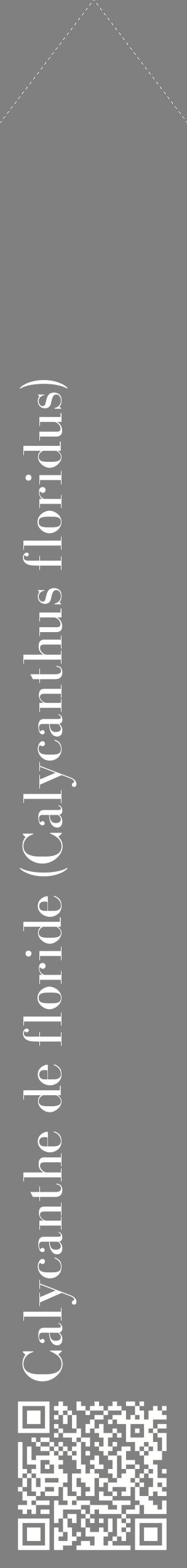 Étiquette de : Calycanthus floridus - format c - style blanche57_simplebod avec qrcode et comestibilité