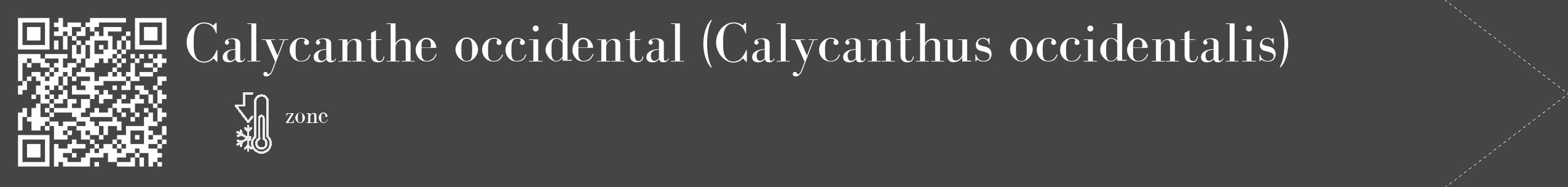 Étiquette de : Calycanthus occidentalis - format c - style blanche58_simple_simplebod avec qrcode et comestibilité