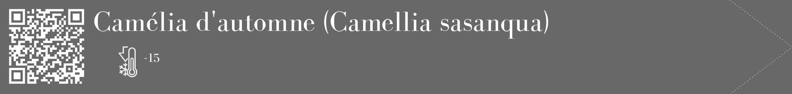 Étiquette de : Camellia sasanqua - format c - style blanche6_simple_simplebod avec qrcode et comestibilité