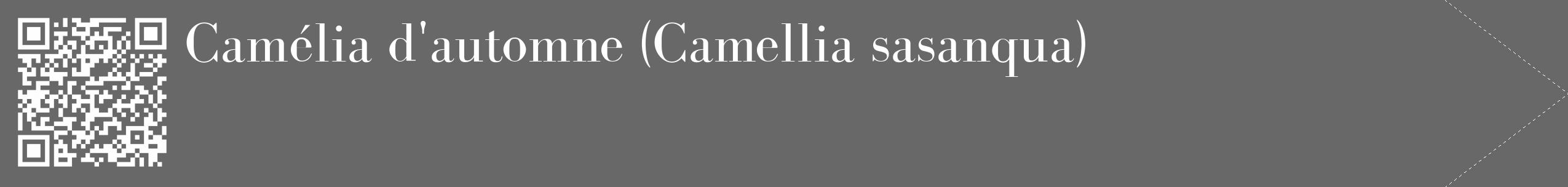 Étiquette de : Camellia sasanqua - format c - style blanche6_simple_simplebod avec qrcode et comestibilité