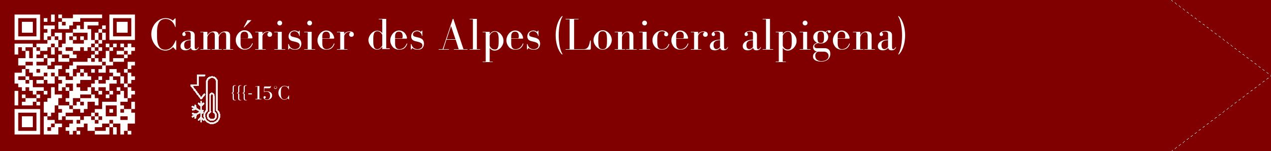 Étiquette de : Lonicera alpigena - format c - style blanche29_simple_simplebod avec qrcode et comestibilité