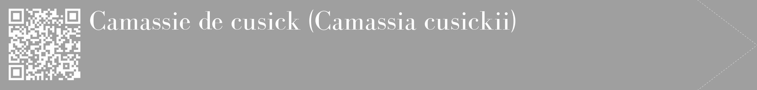 Étiquette de : Camassia cusickii - format c - style blanche24_simple_simplebod avec qrcode et comestibilité