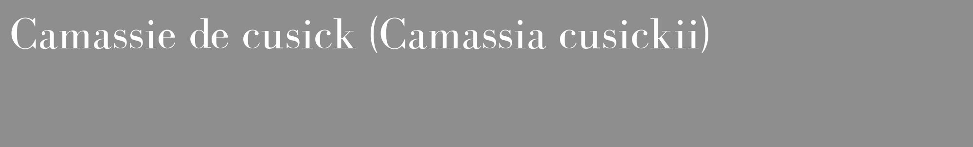 Étiquette de : Camassia cusickii - format c - style blanche25_basique_basiquebod avec comestibilité