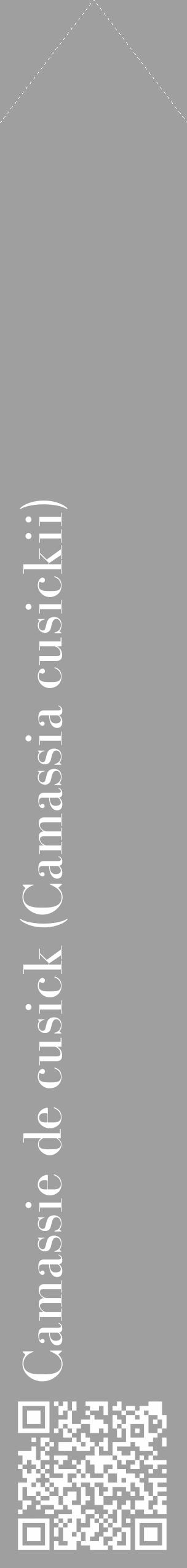 Étiquette de : Camassia cusickii - format c - style blanche24_simple_simplebod avec qrcode et comestibilité - position verticale