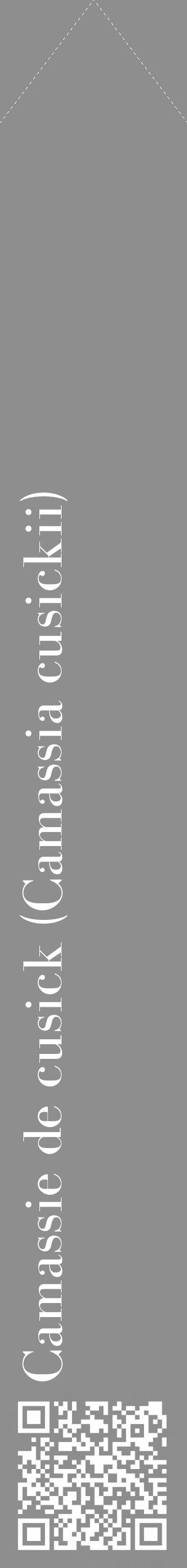 Étiquette de : Camassia cusickii - format c - style blanche25_simple_simplebod avec qrcode et comestibilité - position verticale