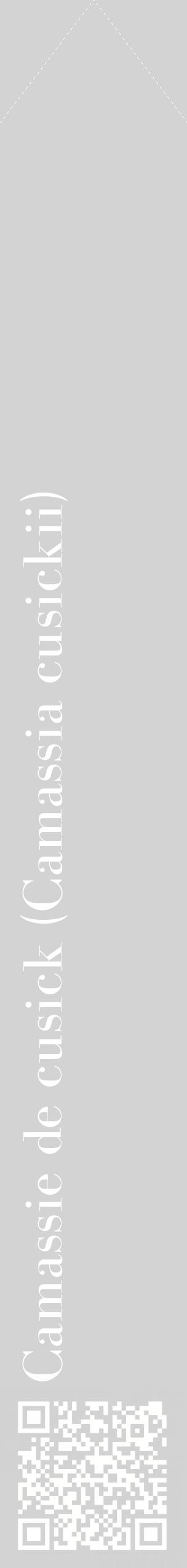 Étiquette de : Camassia cusickii - format c - style blanche56_simplebod avec qrcode et comestibilité