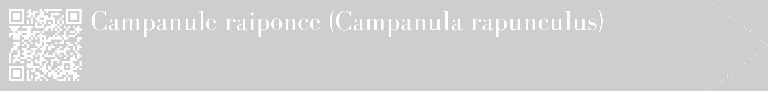 Étiquette de : Campanula rapunculus - format c - style blanche17_simple_simplebod avec qrcode et comestibilité