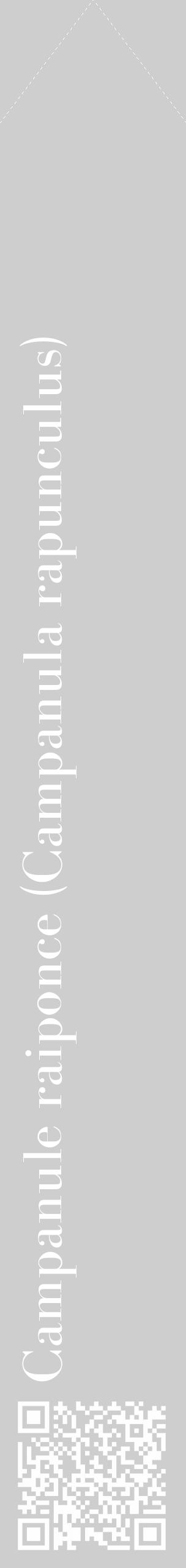 Étiquette de : Campanula rapunculus - format c - style blanche17_simple_simplebod avec qrcode et comestibilité - position verticale