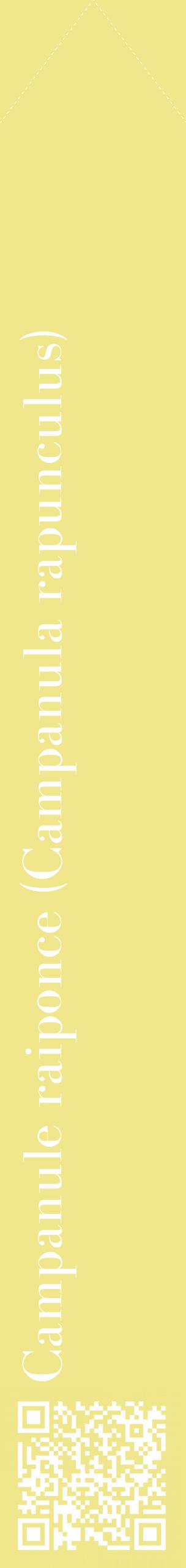 Étiquette de : Campanula rapunculus - format c - style blanche20_simplebod avec qrcode et comestibilité