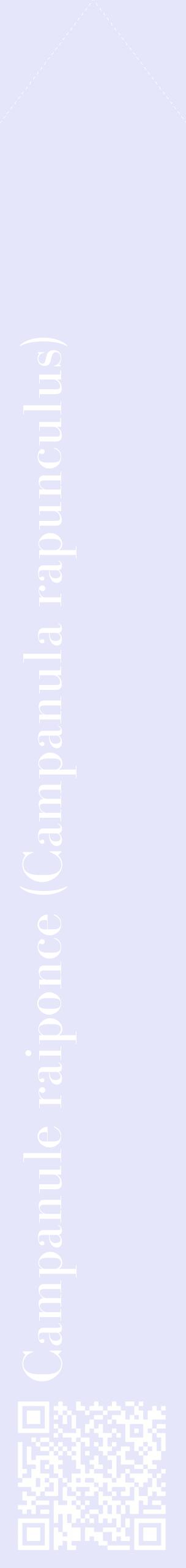 Étiquette de : Campanula rapunculus - format c - style blanche55_simplebod avec qrcode et comestibilité