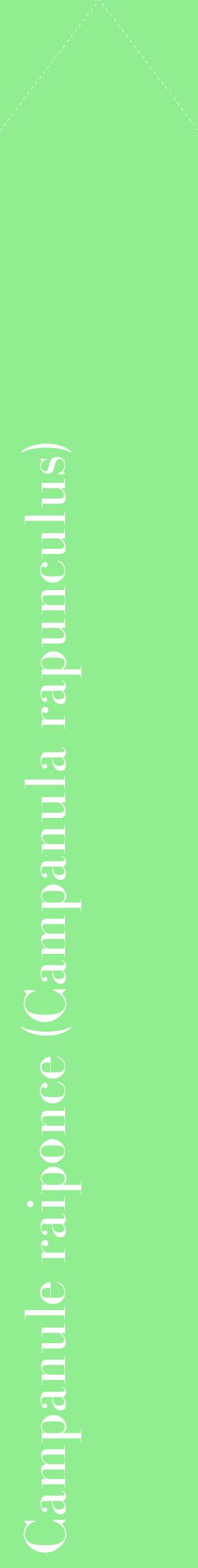 Étiquette de : Campanula rapunculus - format c - style blanche15_simplebod avec comestibilité