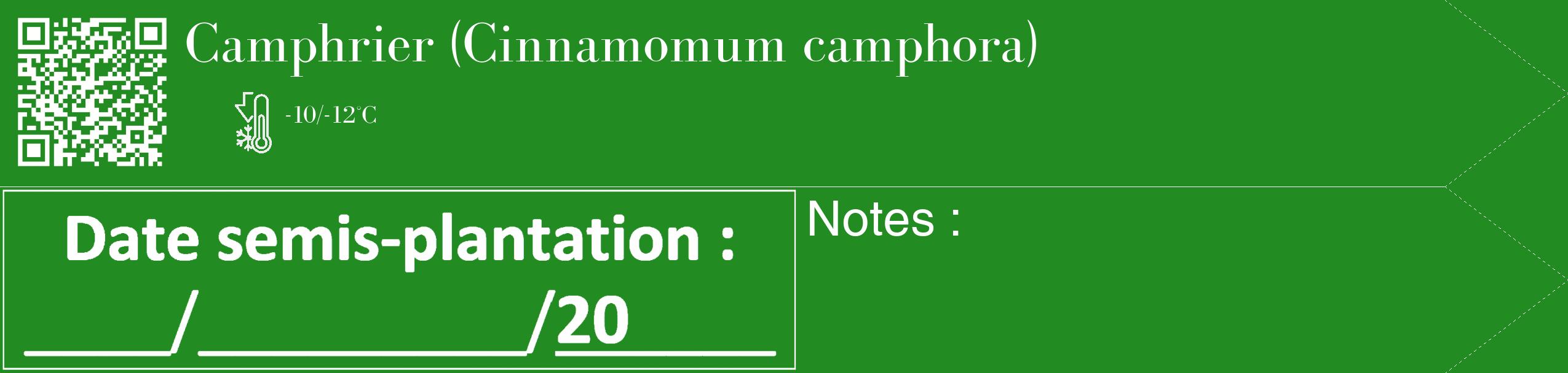 Étiquette de : Cinnamomum camphora - format c - style blanche10_simple_simplebod avec qrcode et comestibilité