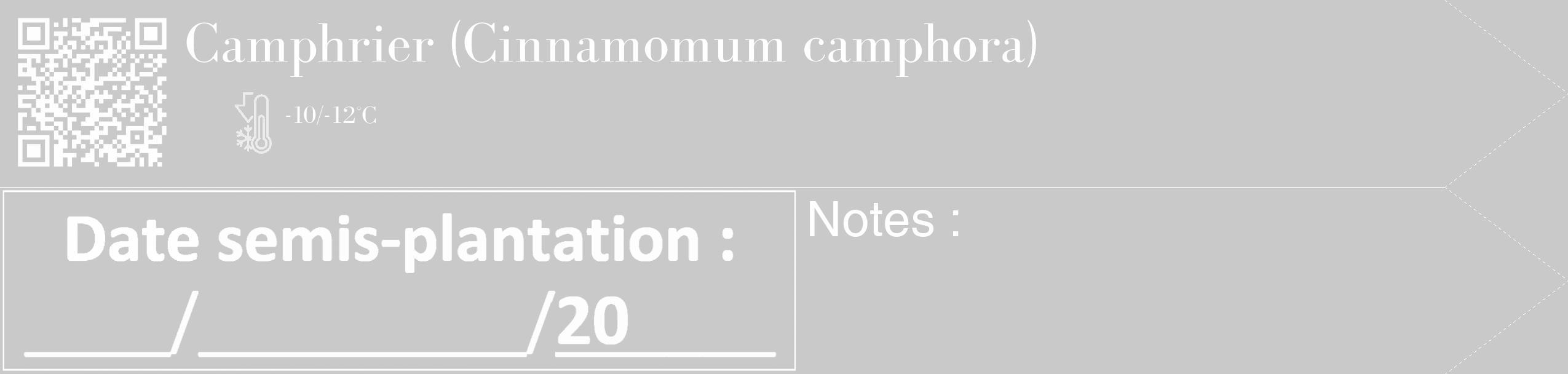 Étiquette de : Cinnamomum camphora - format c - style blanche54_simple_simplebod avec qrcode et comestibilité