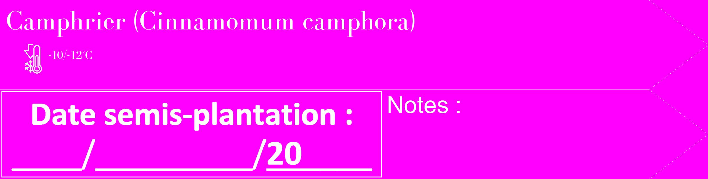 Étiquette de : Cinnamomum camphora - format c - style blanche51_simple_simplebod avec comestibilité